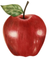 Рисунок на тему яблоко - 44 фото